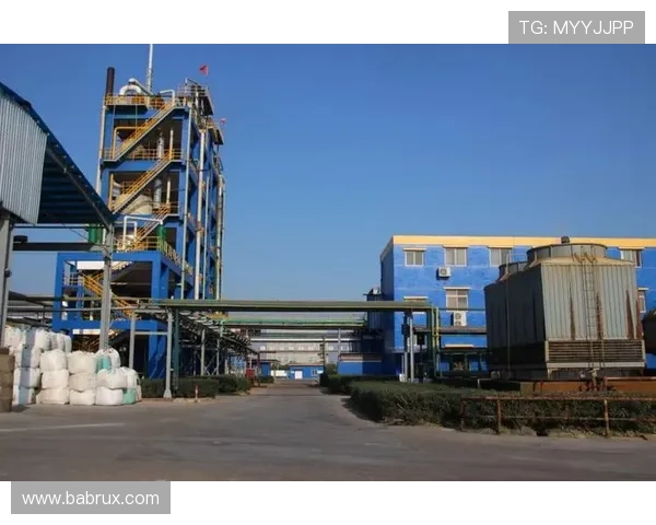 918博天棠真人引领行业变革，推动科技创新与服务升级